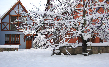 Le clos du Schlossberg sous la neige