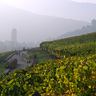 Vue de Kaysersberg depuis le vignoble d'alsace