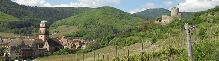 Kaysersberg - vallee de la Weiss - Eglise et Chateau de Kaysersberg